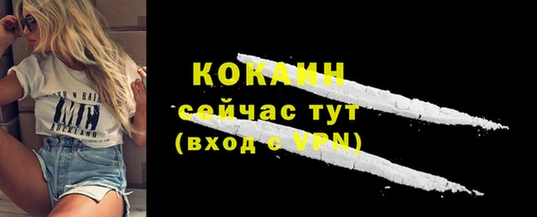 трава Надым