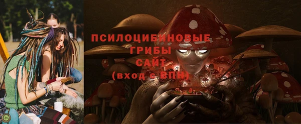 трава Надым