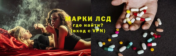 трава Надым