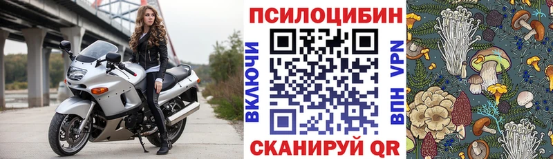 наркотики  Колпашево  даркнет состав  Псилоцибиновые грибы Psilocybe 